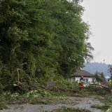 Il existe notamment un risque de chute d'arbres. (Image d'illustration)